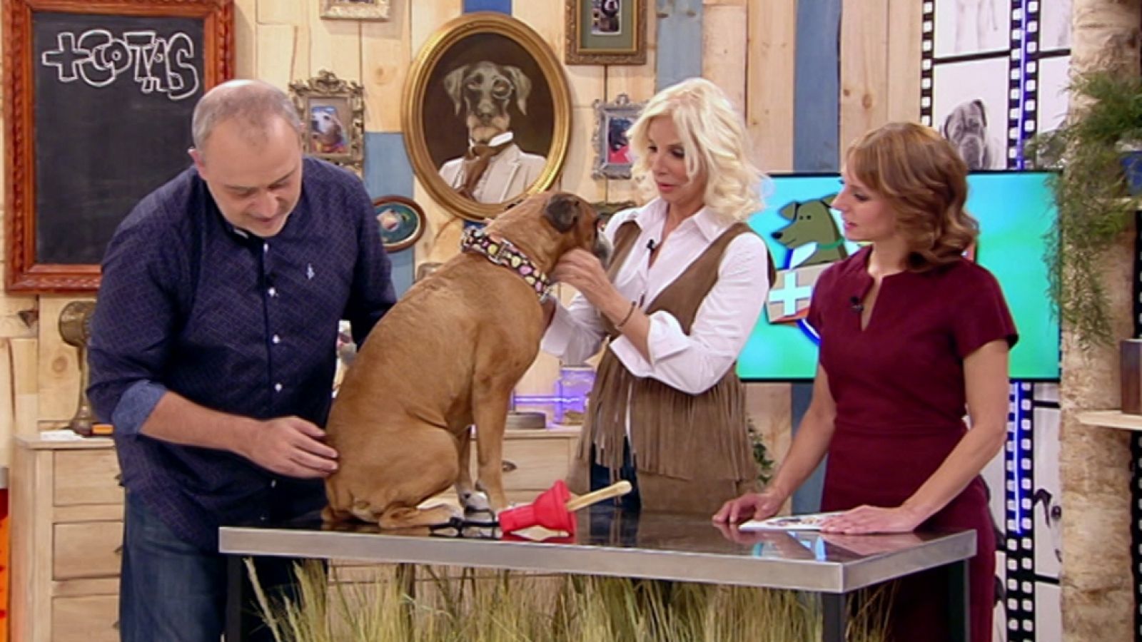 +Cotas - Programa 10 - ver ahora