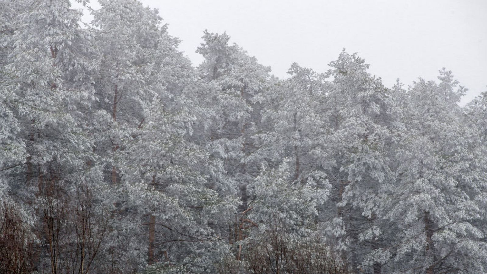 Una veintena de provincias está en alerta amarilla por nevadas