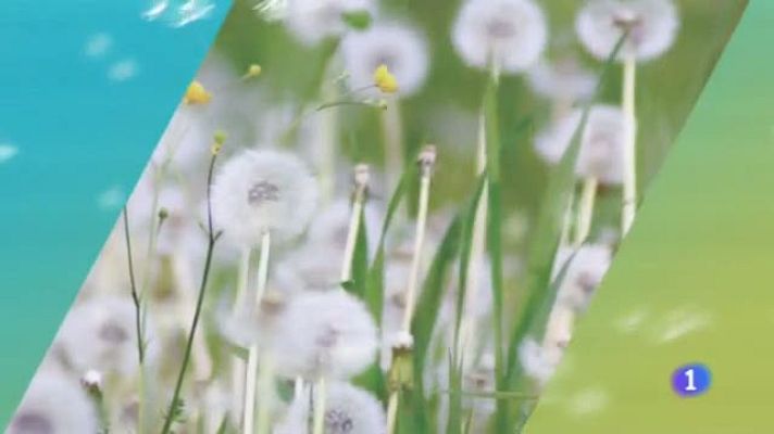 Noticias de Castilla-La Mancha - El tiempo en Castilla-La Mancha - 08/04/19