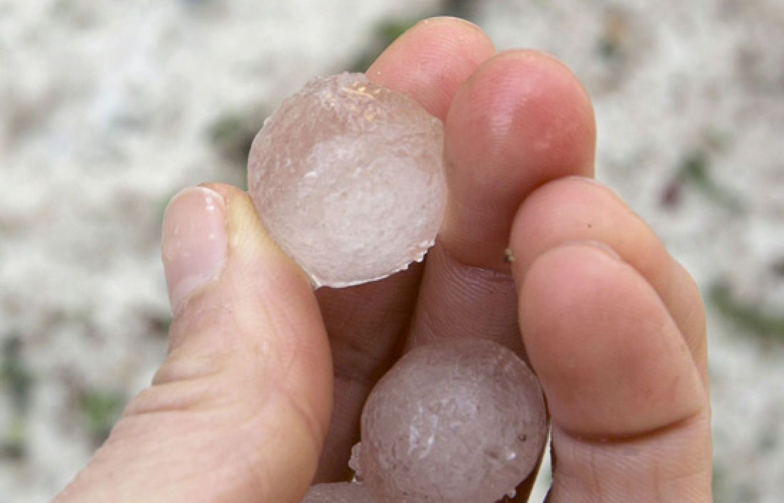 España Directo - Piedras de granizo caen en La Rioja | Ver