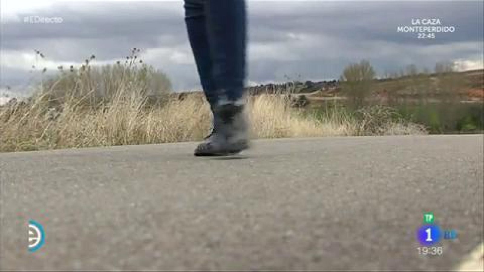 Ribota sin autobús - España Directo | Ver