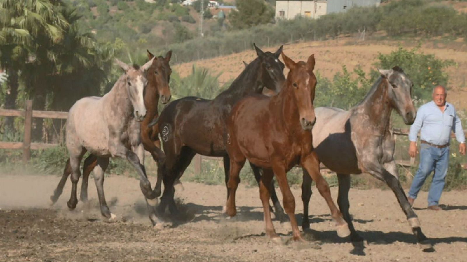 Masterclass equina con José Granao