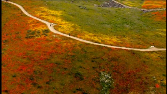 Teleplaneta - Teleplaneta - 08/04/2019