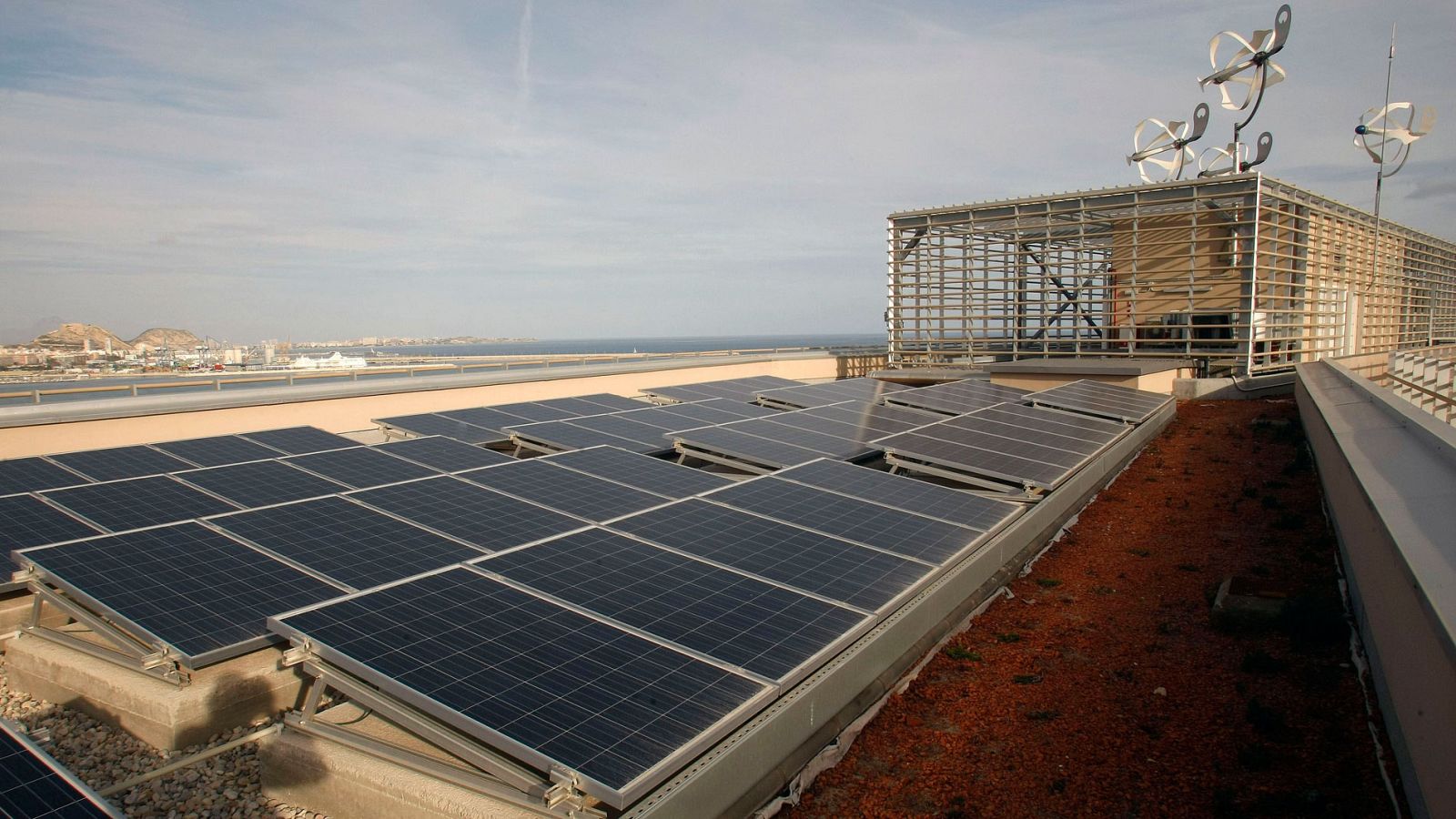 Empresas que promueven inversiones en proyectos verdes para neutralizar la huella de carbono