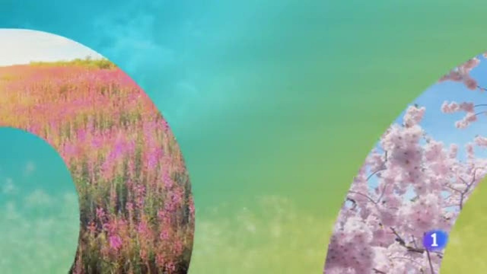 El Tiempo en Castilla-La Mancha - 10/04/19 | Ver