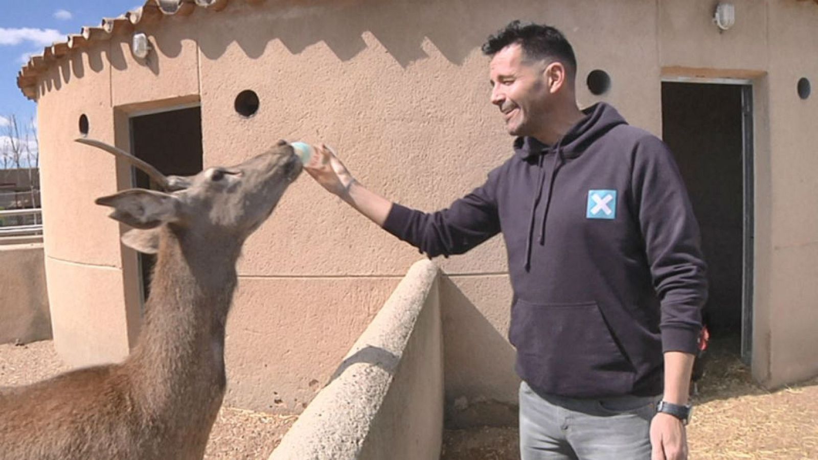 "Mascotizar" animales salvajes, gran error