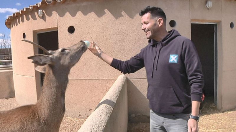 Aquí la tierra - "Mascotizar" animales salvajes, gran error