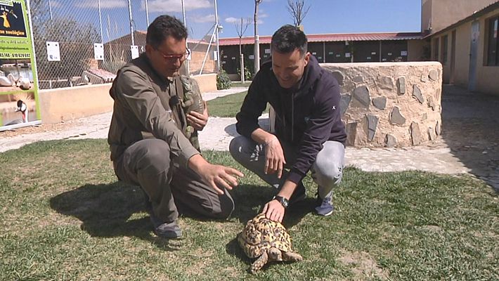 Aquí la Tierra - Aquí la Tierra - 10/04/19