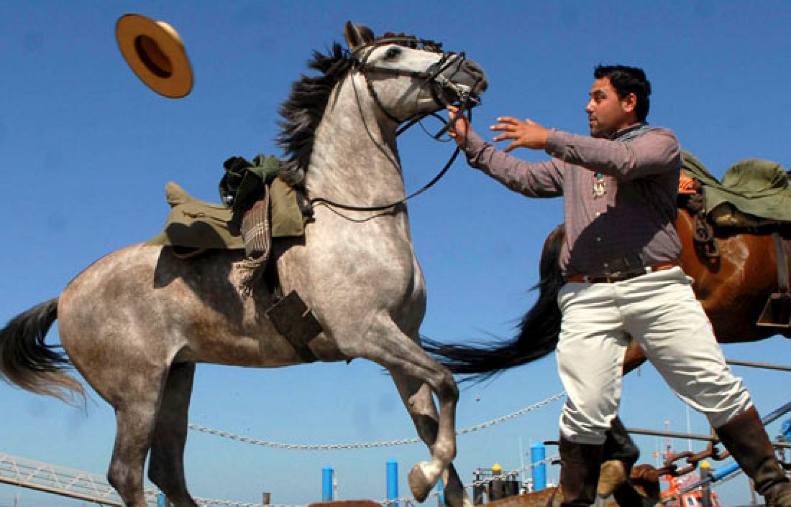 Muchas hermandades inician su peregrinación hacia El Rocío | Ver