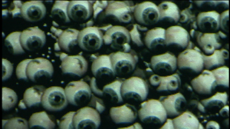 Telecanarias 2 - 10/04/2019