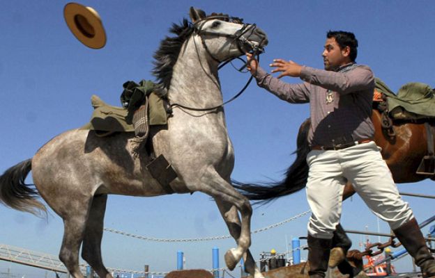 España Directo - Comienza el camino de El Rocío