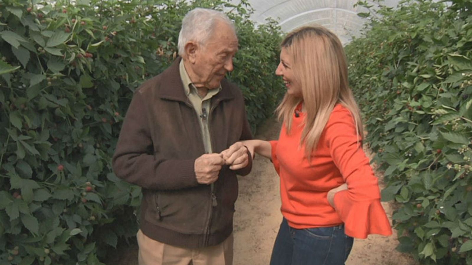 Moras para un zumo revitalizante