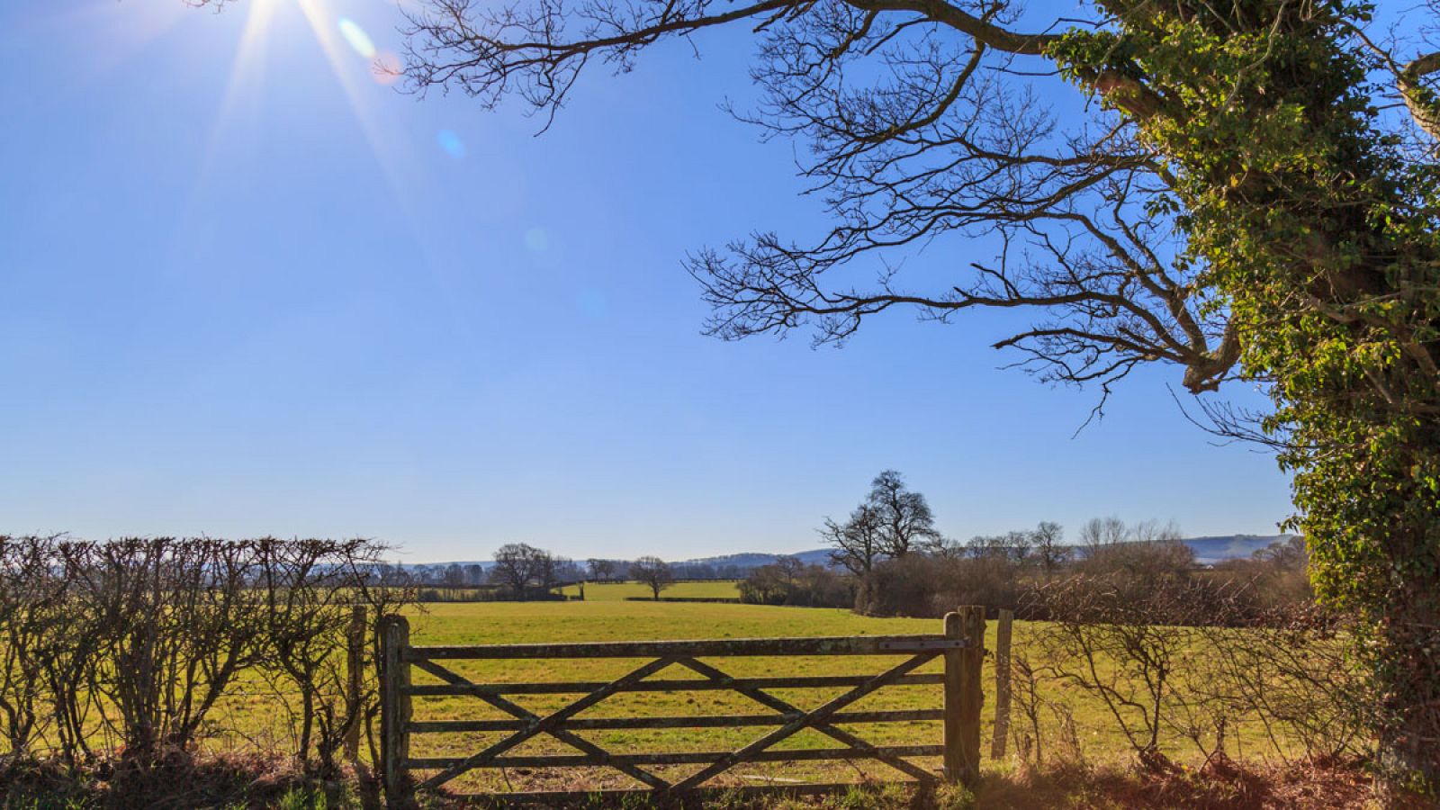 Temperaturas en ascenso