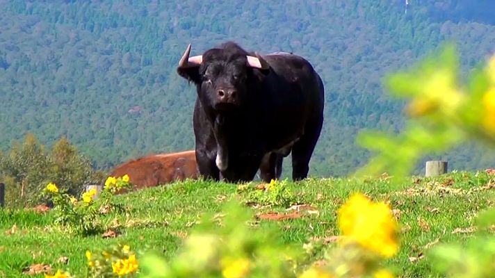 Tendido cero - Tendido Cero - 13/04/19