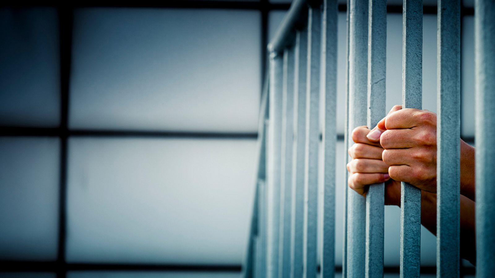 Informe Semanal - Aprendiendo a vivir en libertad - ver ahora