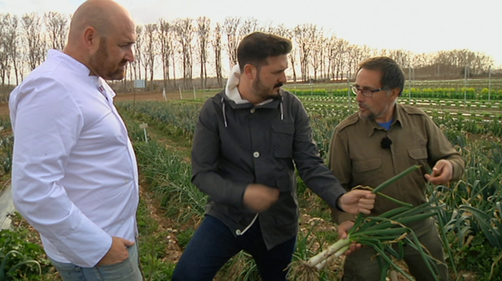 Aquí la Tierra - AQUI LA TIERRA (394)