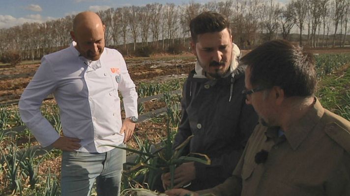 Aquí la Tierra - Cebolletas en Aranjuez