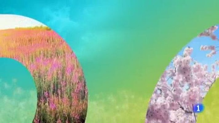 Telenorte - País Vasco - El tiempo en el País Vasco - 15/04/19