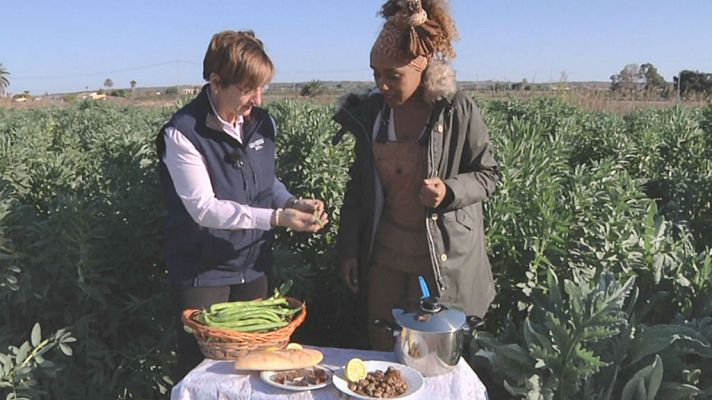 Aquí la Tierra - Habas de Alicante de temporada