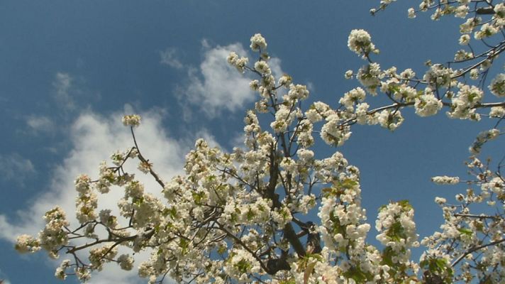 Aquí la Tierra - Aquí la Tierra - 15/04/19