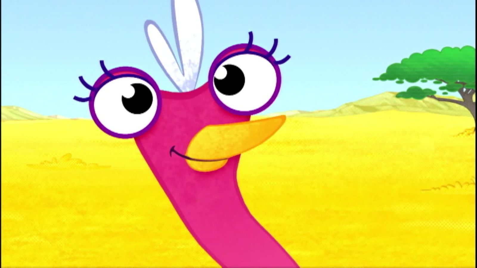 Olive en la playa - Olive la pequeña avestruz | Ver