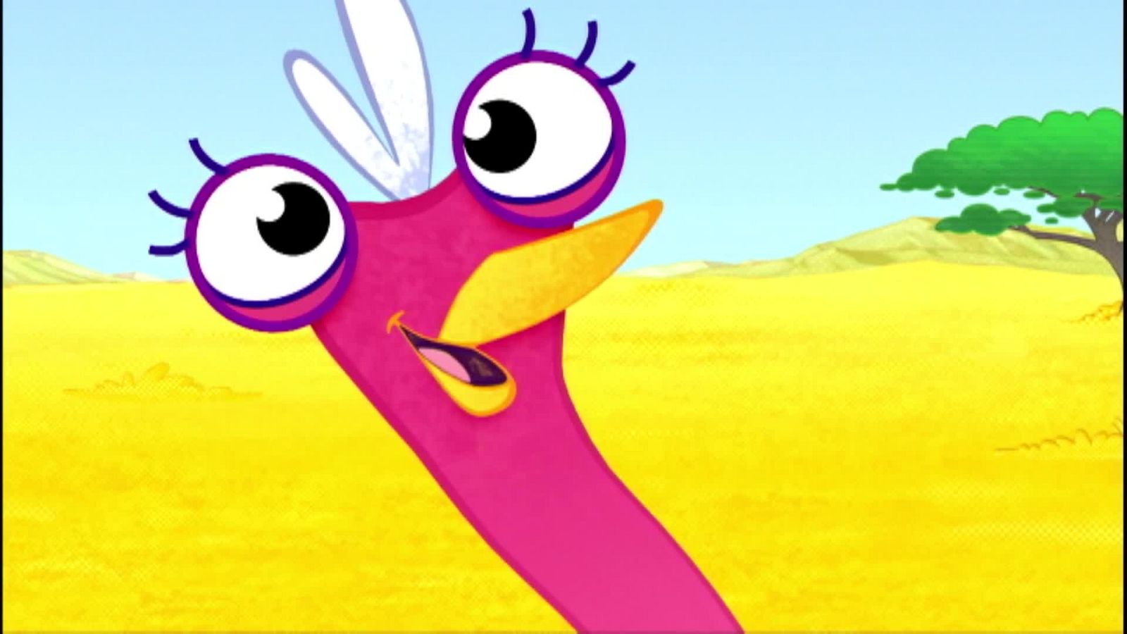 Olive la patinadora - Olive la pequeña avestruz | Ver