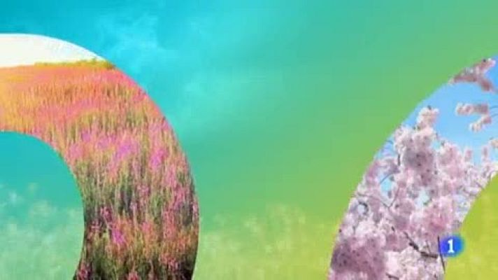 Telenorte - País Vasco - El tiempo en el País Vasco - 17/04/19