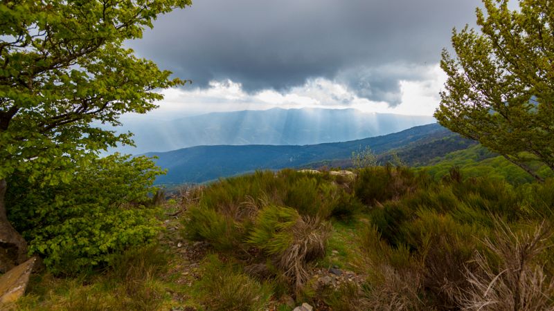Precipitaciones fuertes, viento fuerte y temperaturas diurnas en descenso - ver ahora