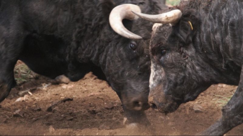 Tendido Cero - 20/04/19 - ver ahora