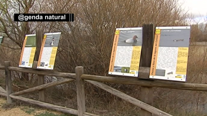 La aventura del Saber - La aventura del saber - 22/04/19