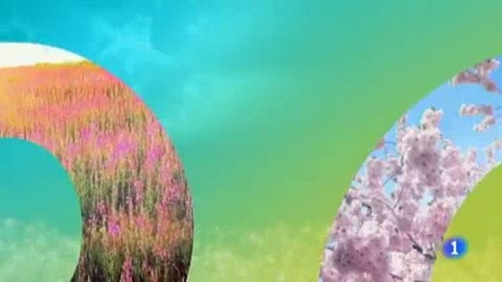 Telenorte - País Vasco - El tiempo en el País Vasco - 22/04/19