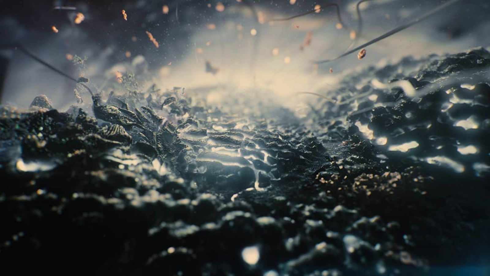 El documental - Nuestro planeta: Escudo - ver ahora