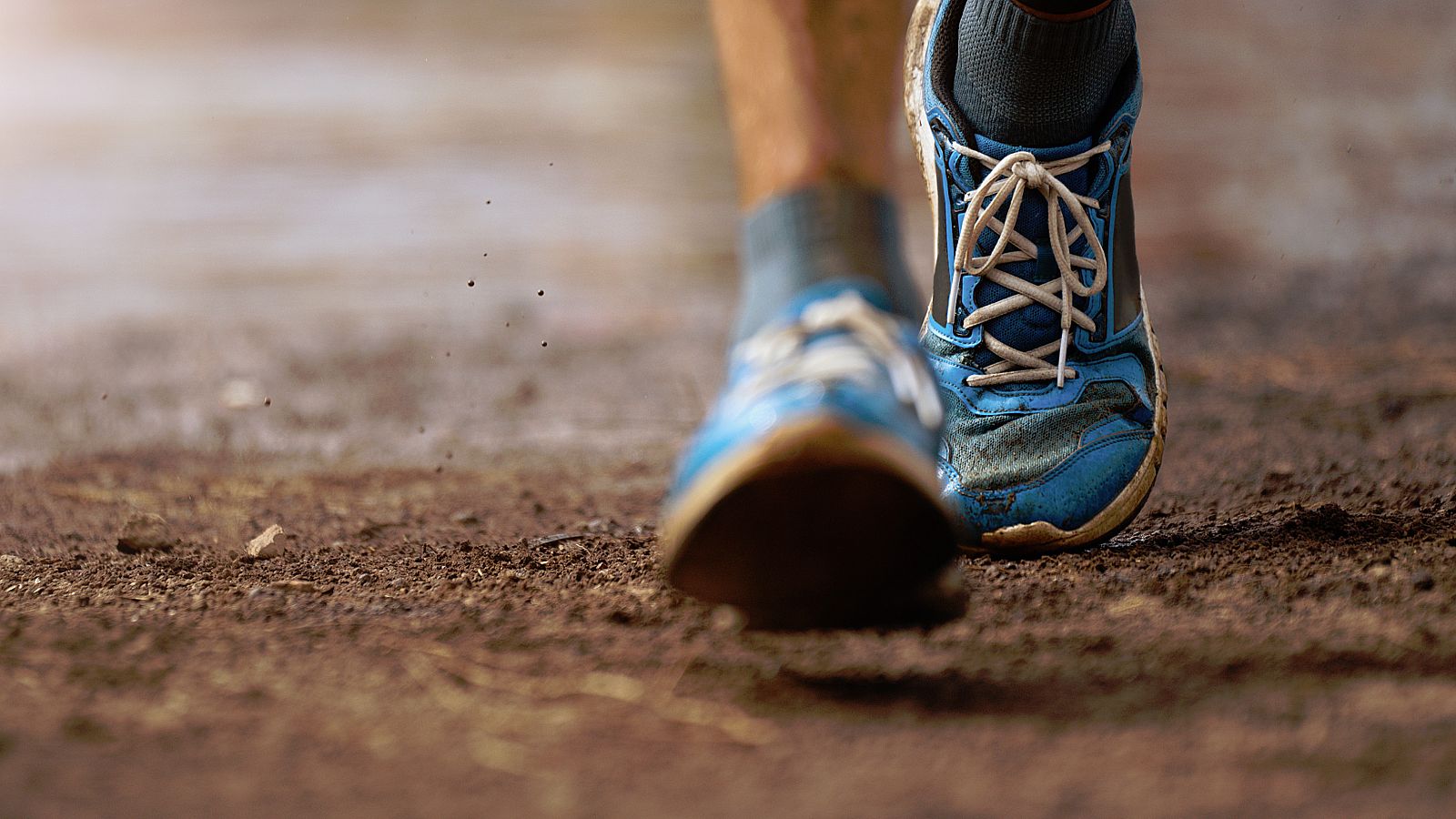 Ya se sabía que el deporte moderado es bueno para la salud y ahora un equipo del CSIC ha demostrado que ese beneficio es hereditario. Han comprobado que mejora el aprendizaje y la memoria en los ratones hijos de padres que hacen ejercicio.