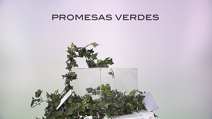  - Promesas verdes - Avance