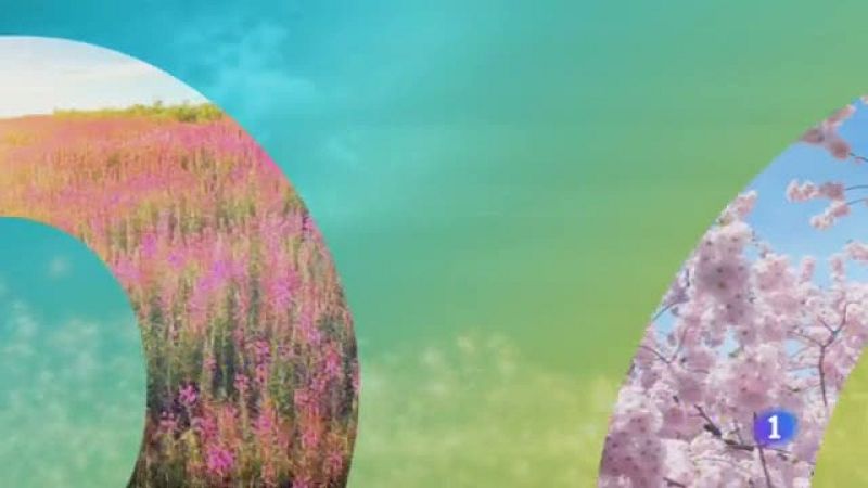 El Tiempo en Castila-La Mancha - 25/04/19 | Ver