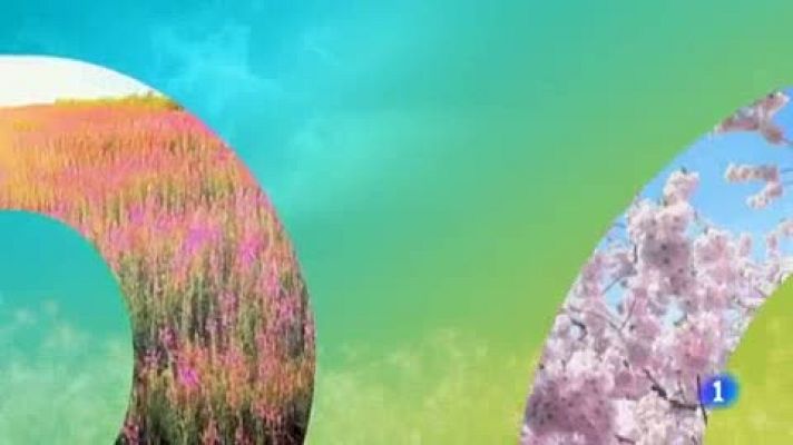 Telenorte - País Vasco - El tiempo en el País Vasco - 25/04/19