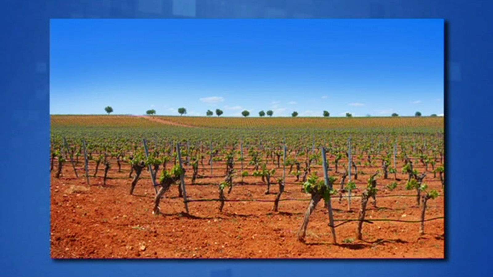 Saber y ganar - 25/04/19 - ver ahora