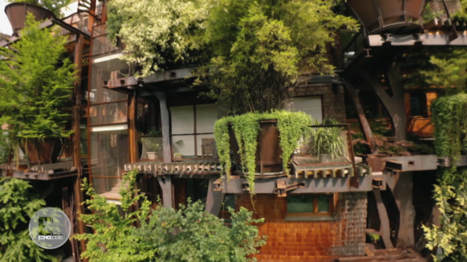 Otros documentales - Construcciones ecológicas: Naturaleza urbana - ver ahora