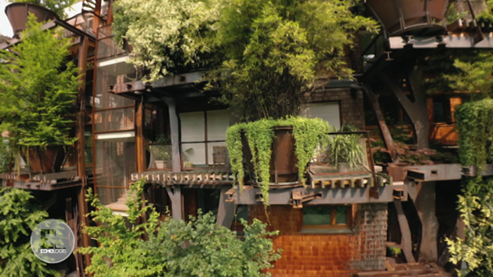 Otros documentales - Construcciones ecológicas: Naturaleza urbana