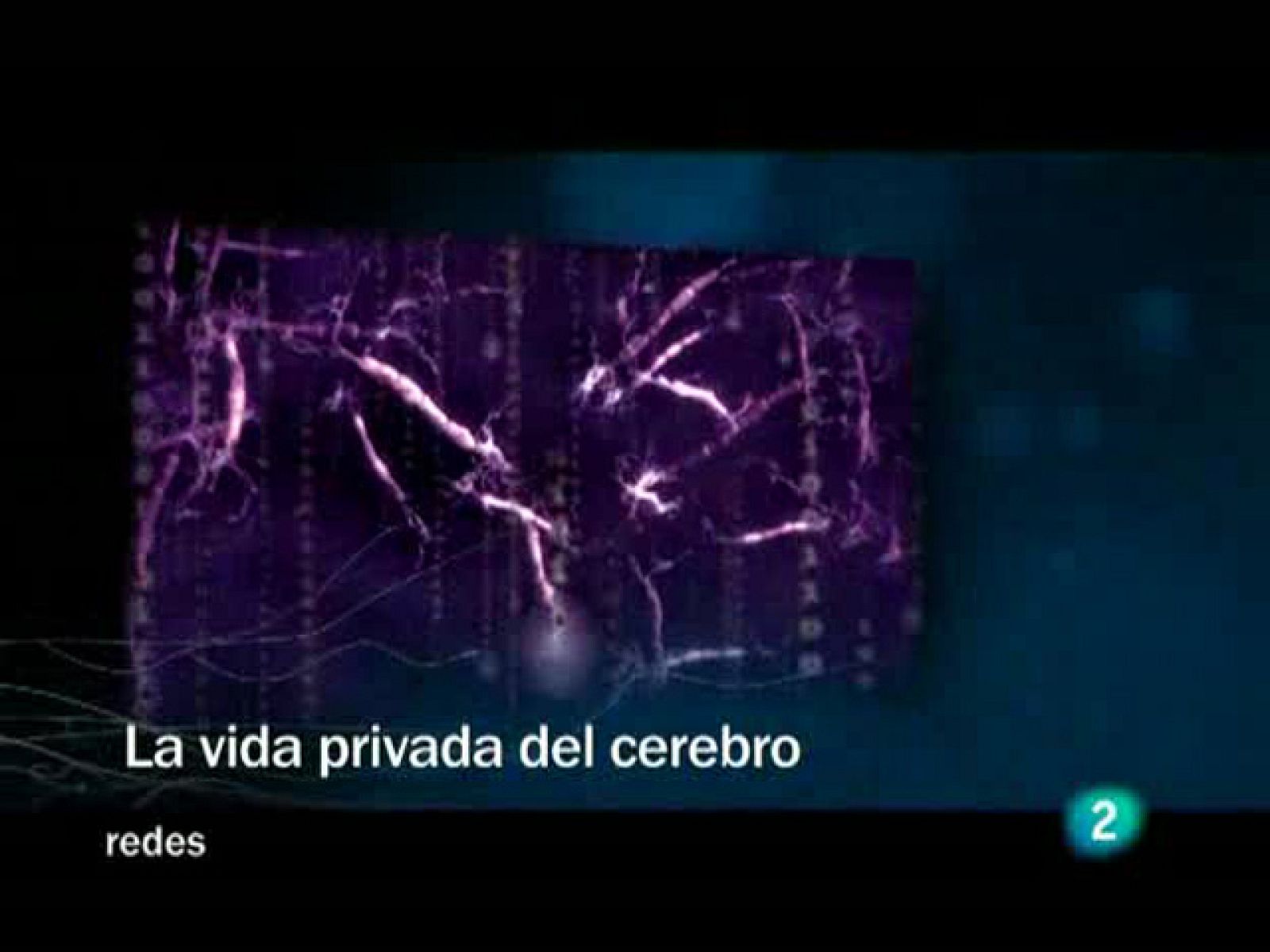 Redes (31/05/09) :  La vida privada del cerebro.