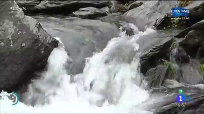  - Rafting en Llavorsí (Lleida)
