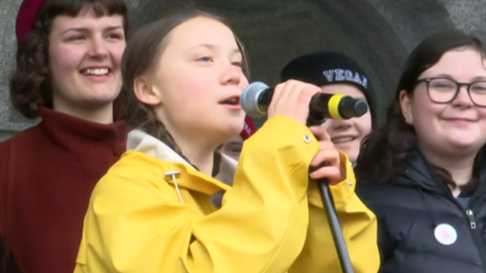 Escarabajo verde - Promesas verdes - ver ahora