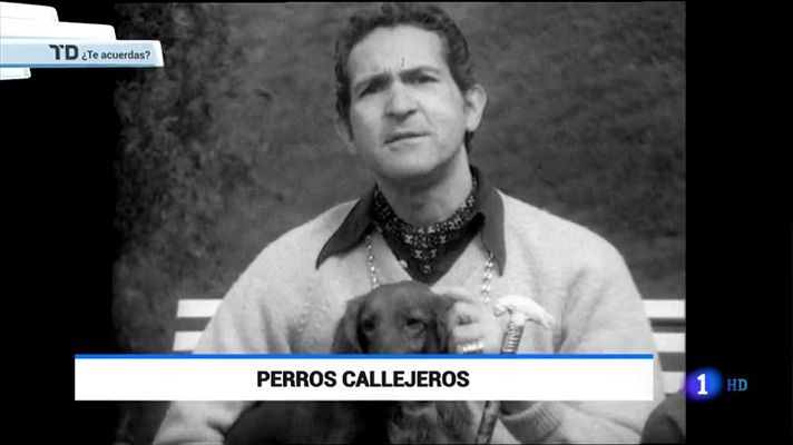 ¿Te acuerdas? - Perros callejeros