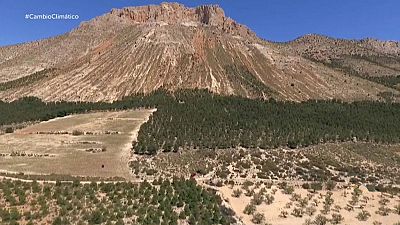 Acciones contra el cambio climático
