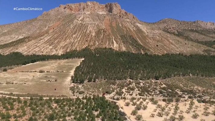 Informe Semanal - Acciones contra el cambio climático