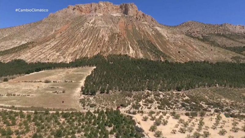 Informe Semanal - Acciones contra el cambio climtico - ver ahora