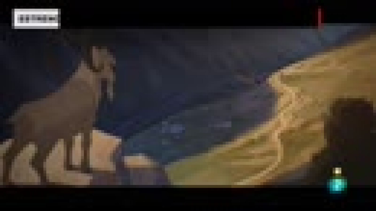 'Buñuel en el laberinto de las tortugas'