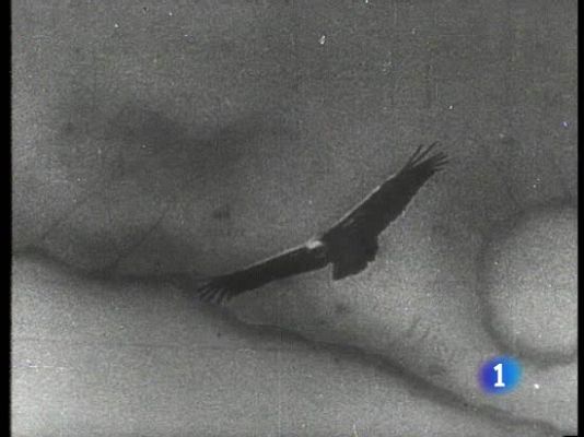  - El NODO en un film de terror