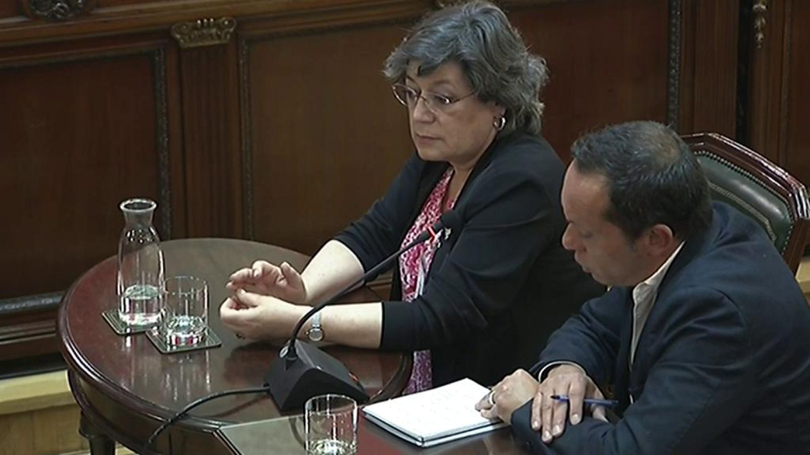 La europarlamentaria portuguesa Ana Gomes declara que Junqueras y Romeva defendían una "solución negociada"