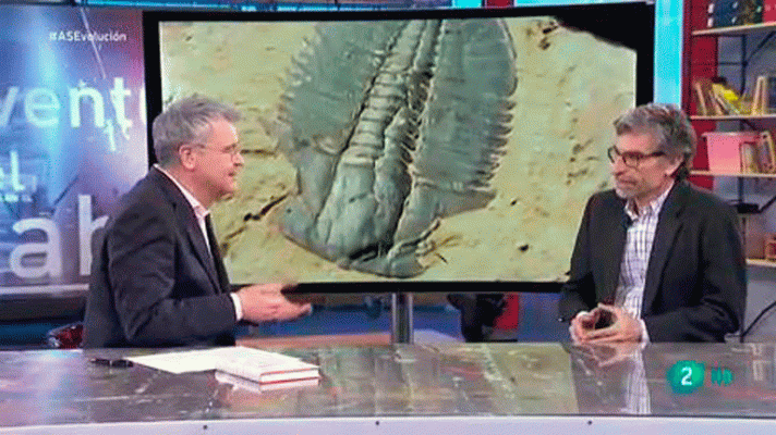 La aventura del Saber - 'Los fósiles de nuestra evolución', con Antonio Rosas